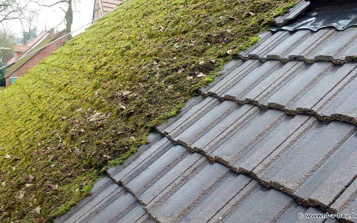 Nettoyage et demoussage de toiture à la Garenne-Colombes(92250) - Compagnons Lamberty dans les Hauts de Seine et en Ile de France